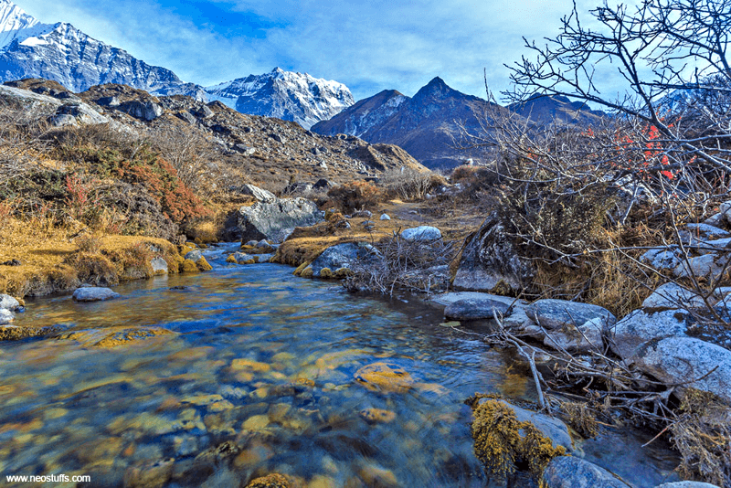 Top 5 National Park and Wildlife in Nepal