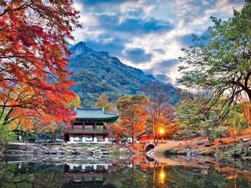 Baekyangsa Temple in Autumn,Naejangsan Park in_Discover South Korea