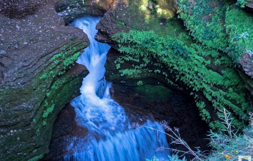 Family Tour in Nepal