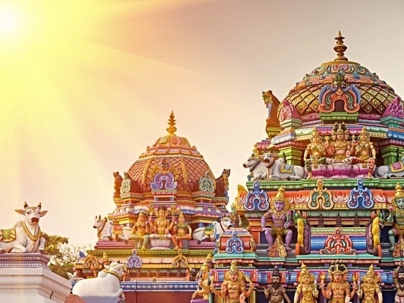 Pilgrimage Tour to South India