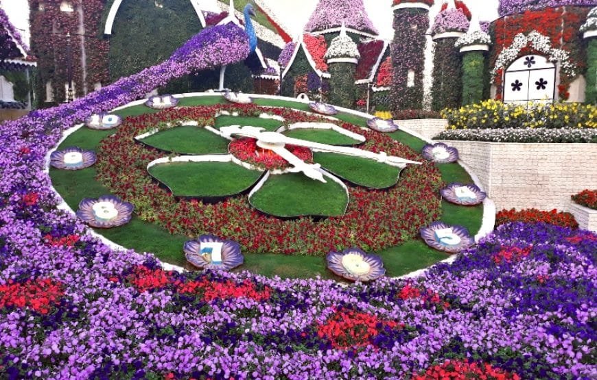 Go United Arab Emirates