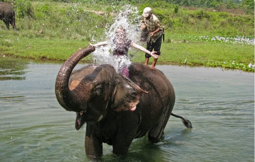 Chitwan Wildlife Tour in Nepal