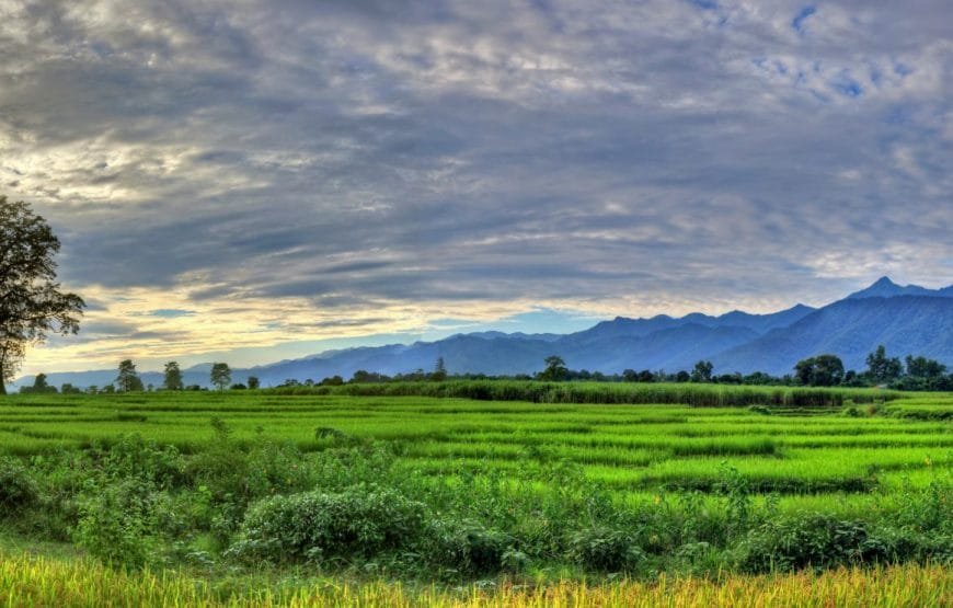 Chitwan Wildlife Tour in Nepal