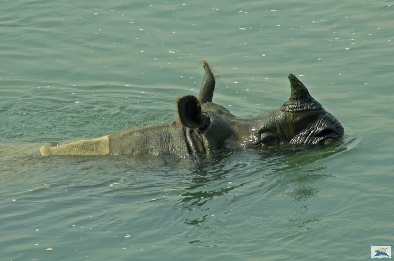 Day 04: Breakfast at hotel in Sauraha and proceed to Kathmandu